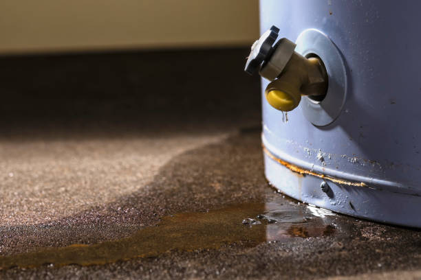 Best Water damage cleanup near me  in Clyde, NY