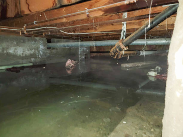 Best Flooded house restoration  in Clyde, NY