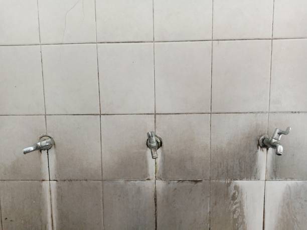 Best Water damage repair service  in Clyde, NY