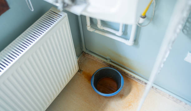 Best Professional water damage repair  in Clyde, NY