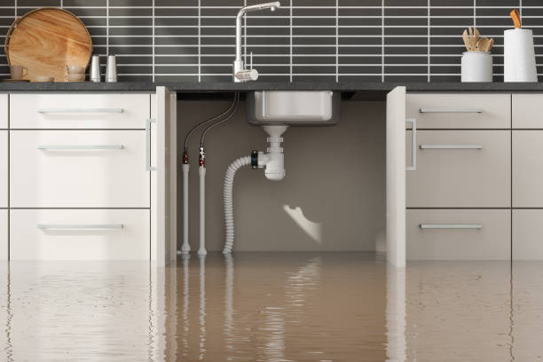 Best Commercial water damage restoration  in Clyde, NY