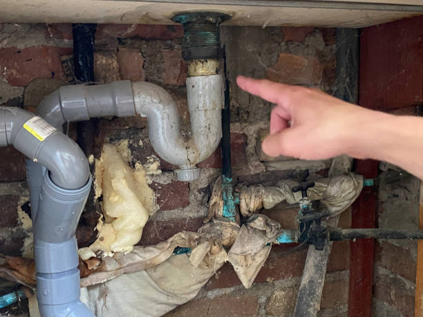 Best Water damage restoration near me  in Clyde, NY